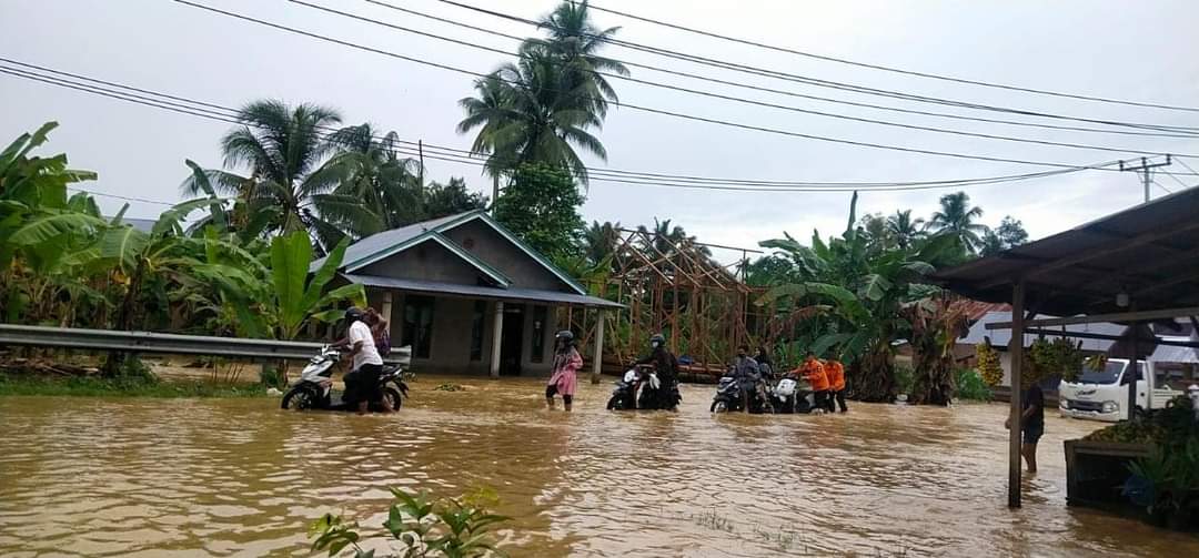 346 Rumah Terendam Banjir  Dan Satu Unit Terancam Amblas di Pasaman Barat, Ini Pesan Wakil Bupati