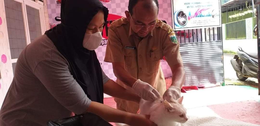 Dinas Pangan dan Pertanian Padang Panjang Akan Lakukan Vaksinasi Massal Rabies, Ini Jadwalnya