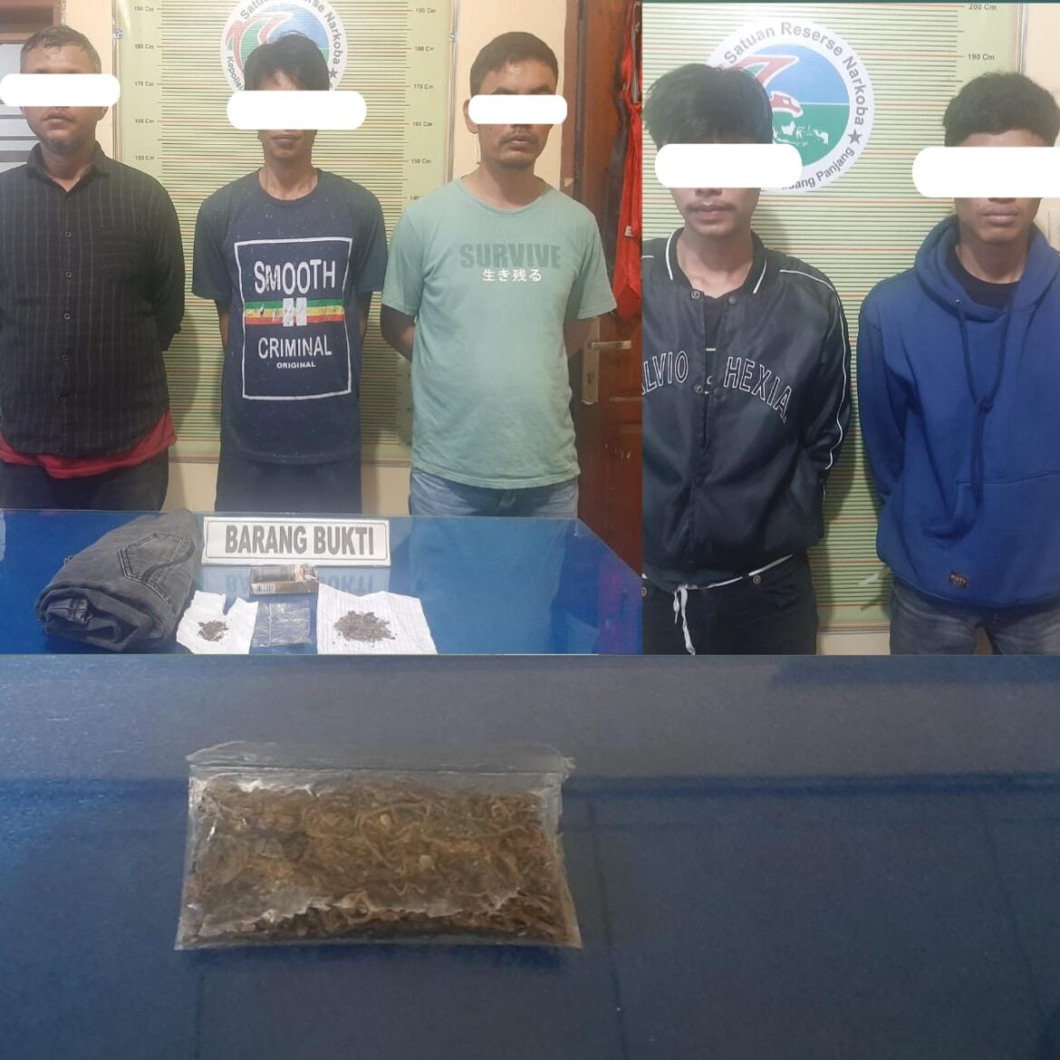 5 Pelaku Penyalahgunaan Narkoba Diringkus Tim Karanggo Polres Padang Panjang