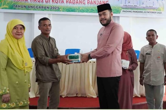 28,8 Hektare Sawah Diserang Hama Tikus Di Padang Panjang,ini Kata Walikota