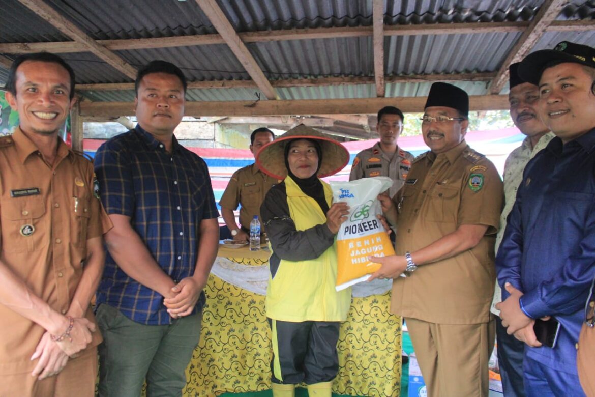 Bupati Pasaman Lakukan Pertemuan Dengan Sejumlah Kelompok Tani Nagari Cubadak