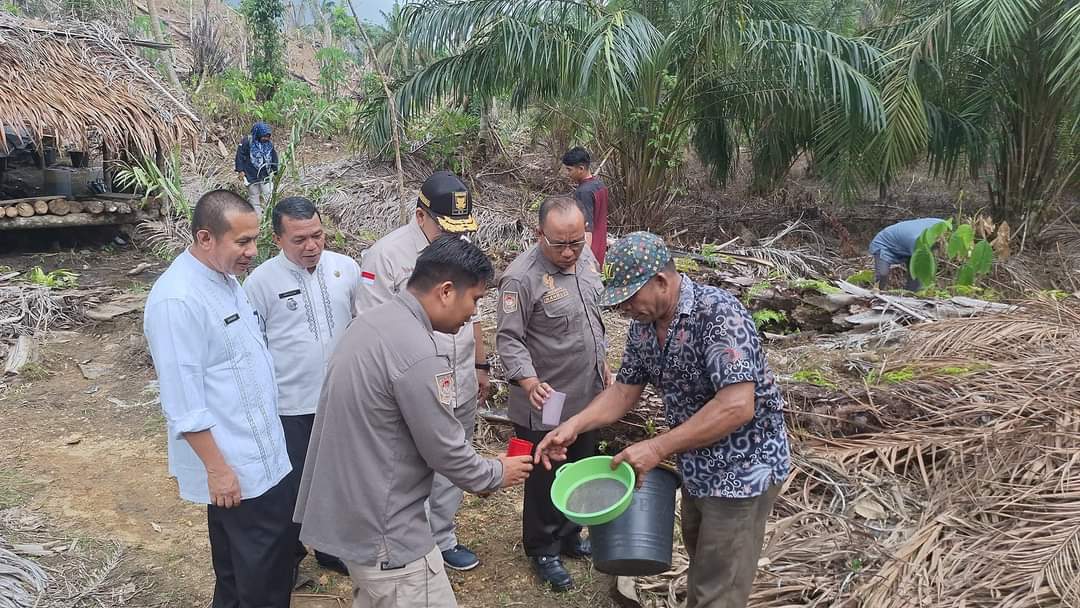 Balitbang Sumbar Tinjau Inovasi Limbah Batang Sawit Menjadi Gula Merah Di Nagari Sungai Aua
