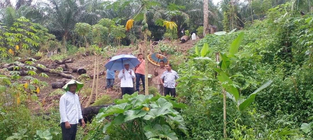 Bupati Pasbar Tinjau Lokasi Pembangunan Pasar Simpang Godang Kecamatan Sungai Aur