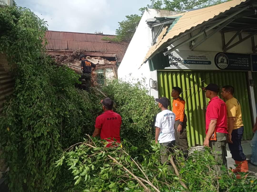 BPBD Kota Padang Bersihkan Material Pohon Tumbang yang Menghambat Akses Jalan