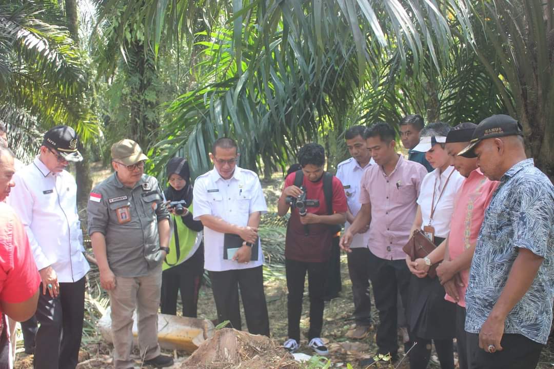 BRIN Kunjungi Pasbar Tinjau Pembuatan Gula Merah dari Batang Sawit