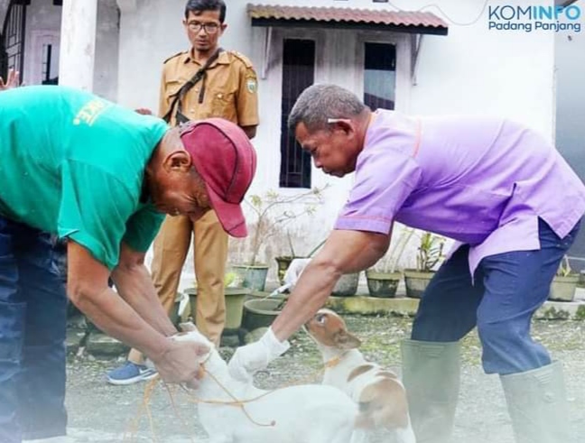 Jika Ada Yang Digigit Anjing, Ini Yang Harus Dilakukan