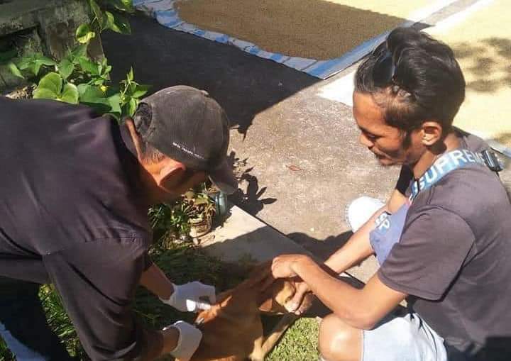 Pemilik Anjing Kota Padang Panjang   Mendatangi Kelurahannya Untuk Vaksin Hewan Peliharaannya