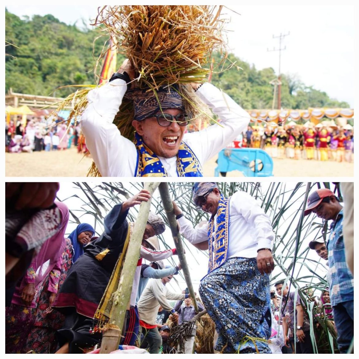 Bupati Tanah Datar Aspresiasi Tradisi  Manongkang Dan Mairiak Padi  Nagari Tanjung Sungayang