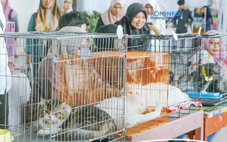 68 Kucing Ikut Kontes Kucing Sehat Sumbar di Padang Panjang