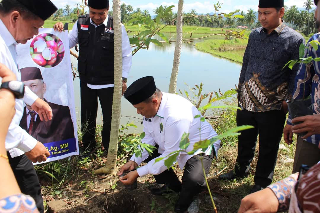 Disaksikan Kadis Pertanian, Kepala Kementerian Agama Tanah Datar Lakukan Penanaman Pohon Matoa