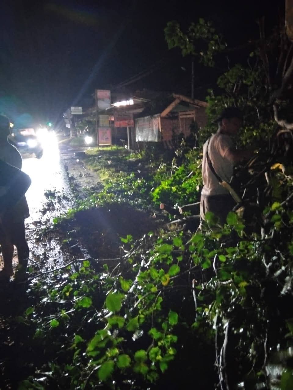 Sejumlah Pohon Tumbang Dan Fasilitas Umum Alami Kerusakan Dampak Angin Kencang Di Pulau Punjung