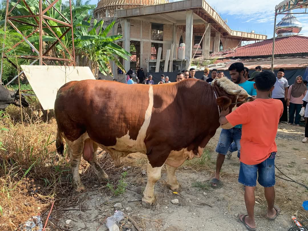 Warga Berterima Kasih, Presiden Prabowo Berkurban Di Kabupaten Pasaman Barat