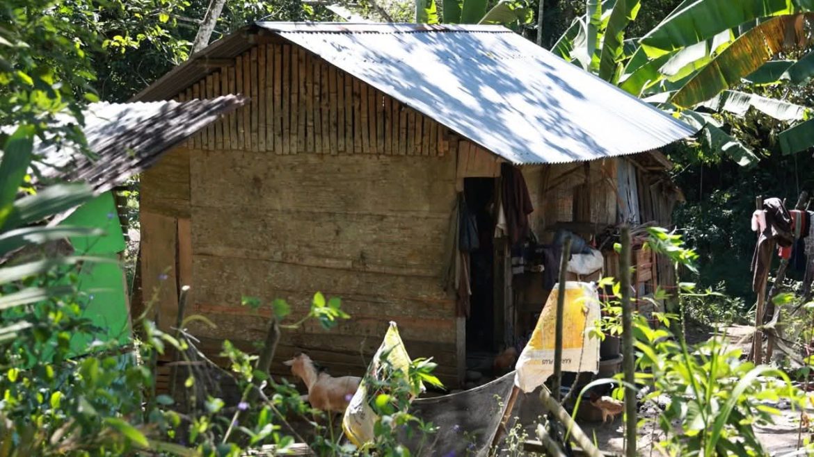 Viral Lansia Tinggal di Pondok, Pemerintah Nagari Saruaso Tanjung Emas Mengakui  Sering Mendapat Bantuan