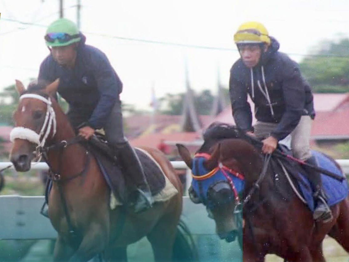 Gratis Masuk,  Saksikan 59 Ekor Kuda Dari Berbagai Daerah Siap Bertanding Di Arena Pacu Kuda Padang Panjang