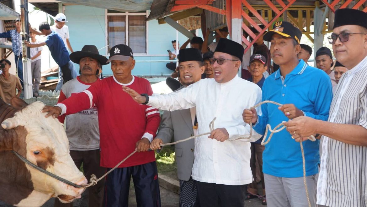 Warga Nagari Koto Baru Kecamatan Sungai Tarab Terima Sapi Kurban Presiden Prabowo