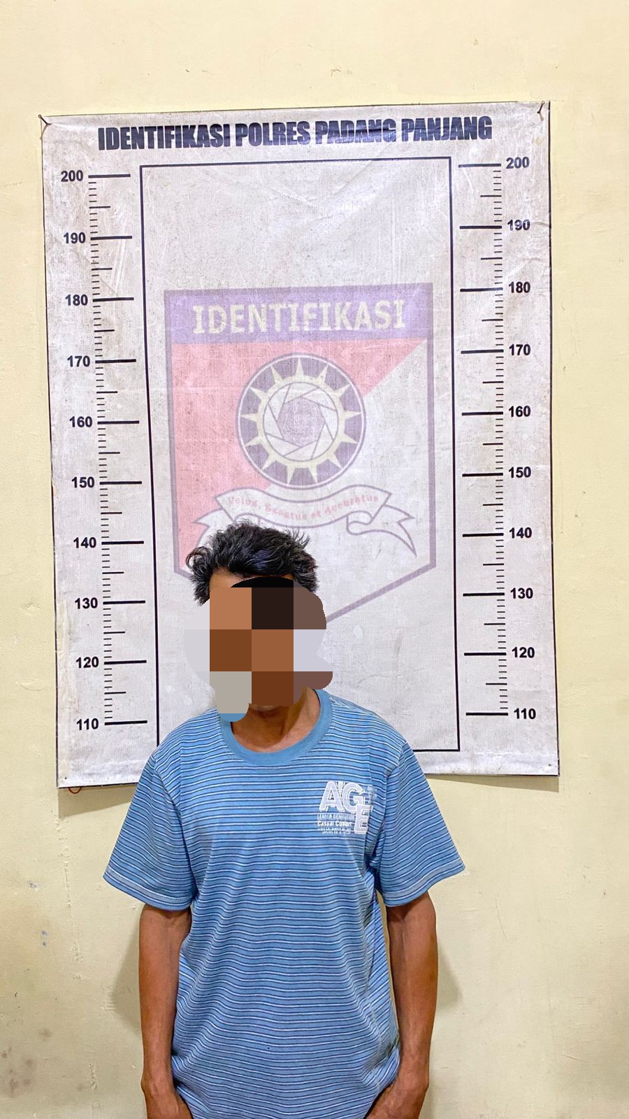 Diduga Cabuli Dan Setubuhi Anak Dibawah Umur, Warga Tanjung Barulak Y (58 Th)  Dibekuk Tim Polres Padang Panjang