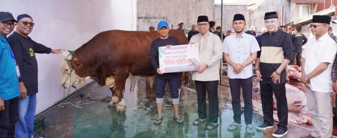 Diserahkan Walikota Padang Panjang, Warga Tanah Hitam Terima Bantuan Sapi Kurban Dari Presiden RI