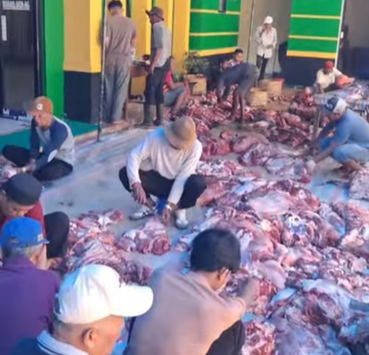 Semangat Kebersamaan Warnai Penyembelihan 11 Sapi Kurban di Arai Pinang 1 dan Chaniago Limo Kaum